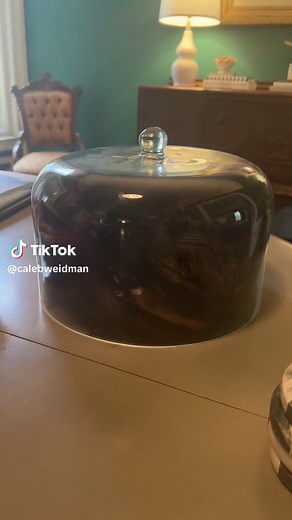 My secret ingredient