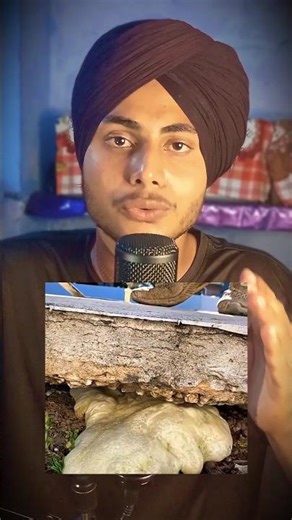 Magic Foam Lifts Sunken Concrete! 🏗️ #experiment #sciencefacts