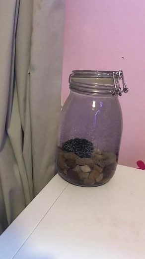 My mossballs ! (@elodiesmossballs)’s videos with original sound - My mossballs !