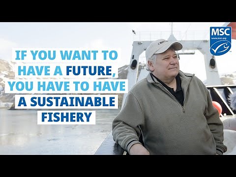 Wild Ones… of the Alaska pollock fishery