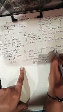 protozoa|| classification|| examples
