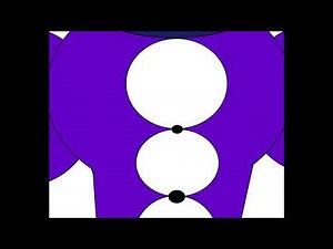 Wendy Testaburger Muscle Growth!