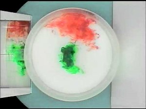 Experiment 0: Non-Rotating Fluids