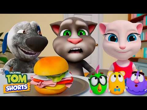 Talking Tom 🍳 Tom Learns to Cook 🍳 The Best Episodes of My Talking Tom 🐱 Toons Mania - English