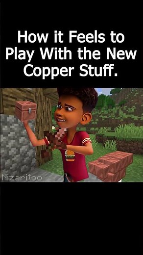 Chicken stars #minecraft