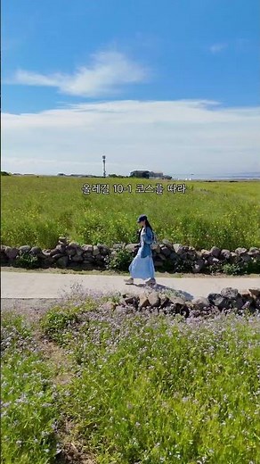 Gapado, Jeju, the lowest island in South Korea #GreenBarleyField