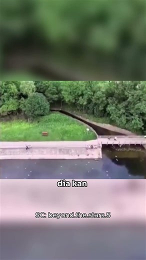 This is the reason why drones must use PROFESSIONAL PILOT!!