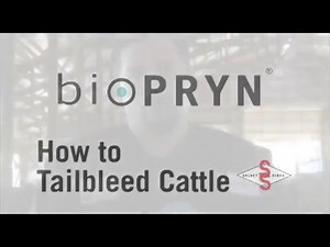 BioPRYN - How to TailBleed Cattle