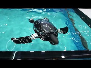 CES 2026: Beatbot’s Amphibious RoboTurtle — The Future of Pool Tech!