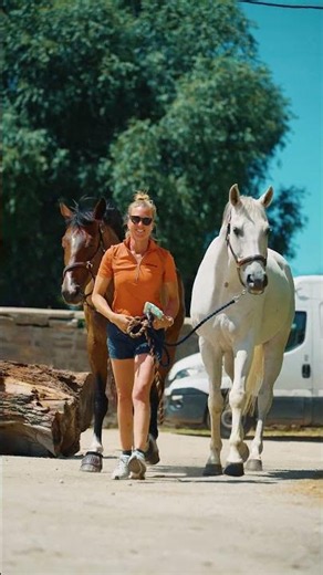 Finally🎉 Get ready with us for LOTTO Strzegom Horse Trials 🐎