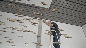 May 18 is International Museum Day! To celebrate, here's a look at the work that our top-notch team does behind the scenes to make a new exhibition happen at the Anchorage Museum. Video shown here comes from the 2018 exhibition, Unsettled. | Anchorage Museum