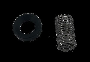 Check Valve Rebuild Kit