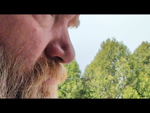 The Woodsplitter 5000 Is on the loose!