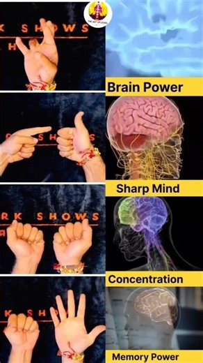 Midbrain activation Exercise for brain power sharp mind concentration #midbrainactivation #midbrain