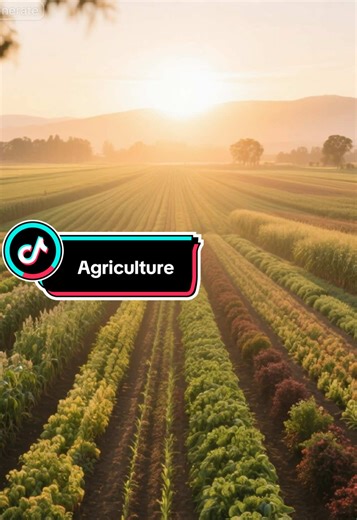 #agriculture #california #facts #fruits #vegetables