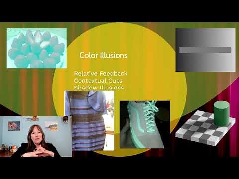 Visual Illusions: Intro Psychology, Sensation & Perception #6