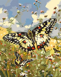 Peinture par numéros - Papillon Proserpine et Fleurs des Champs – Figured'Art