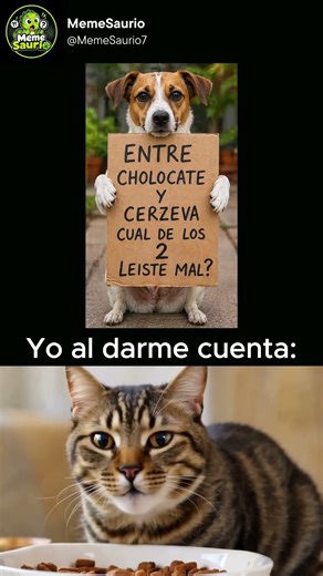 ¿Cuál leíste mal? 😹 #meme #viral #funny