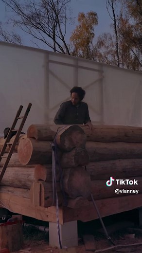 Construction de refuge en forêt : murs finalisés après 6 mois