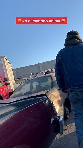 #rescatesdeanimales #nomaltratoanimal #adopranocompres #dog #amor #dogloverforever