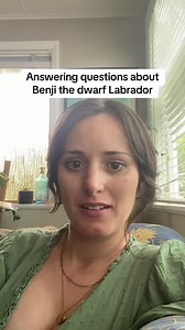 Benji the Dwarf Labrador: Update and Insights