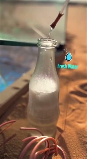 Desert Survival: We Make a Solar-Powered Distiller ☀️💧