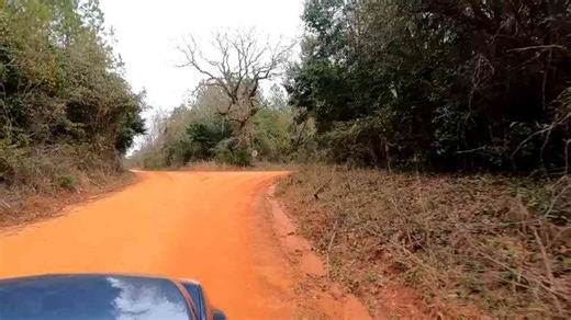 Watch a rural Georgia road trip into places time tried to bury