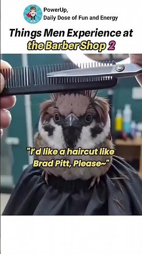 Things men experience at the barber shop 2 #funny #shorts