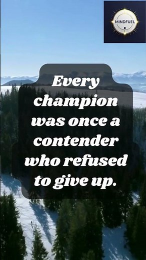 Champions Never Quit | Daily Motivational Quotes