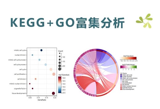 气泡图、弦图怎么做？6分钟学会KEGG+GO富集分析