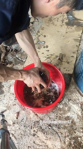 384K views · 3.8K reactions | Maintenance Loader Oil Change #LoaderMaintenance #OilChange #HeavyEquipment #MachineryCare | Mechanic Steve | Facebook