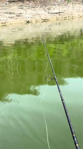 Wii Play Fishing Raised Me