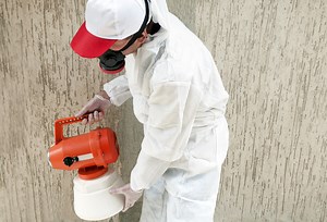 Combien coûte une dératisation ?