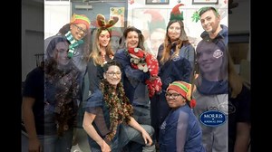 It's a gift to spend time with our pet guests... what would we do without them? Wishing you a happy holiday to you & to yours! | Morris Animal Inn