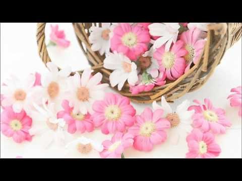 ヴィヴァルディ: ｢四季｣より春：第3楽章 ［ナクソス・クラシック・キュレーション #ロマンチック］