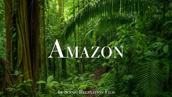 La historia de la selva desde el aire – Imágenes aéreas del Amazonas en 4K