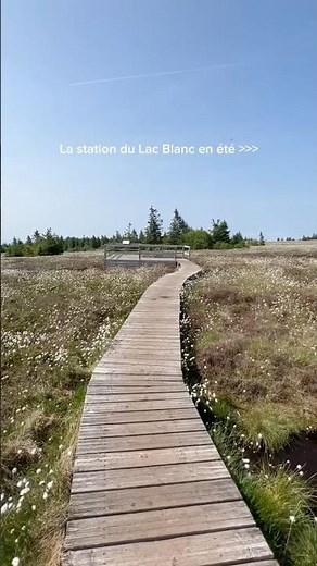 La meilleure saison pour explorer la station du lac Blanc est arrivée !☀️🍃 #lac_blanc #summer