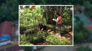 The ECOmmunity program is an innovation of Cagdianao Mining Corporatation through its Mine Environmental Protection and Enhancement Office (MEPEO), rehabilitating the environment by gainful and productive community partnerships. CMC is blazing the trail because of the shared commitment to protect the environment. #EmpoweredCommunity #ResponsibleMiningPH #environmentmonth2021 | Cagdianao Mining Corp. - CMC