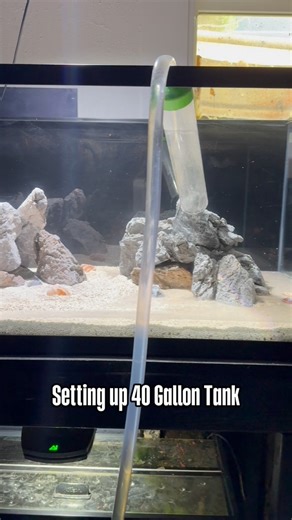 Setting up my new 40 gallon breeder aquarium from start to finish. This is a Lake Tanganyika aquarium. I went with a colony of Julidochromis ornatus uvira. Hoping to see this group grow and eventually breed for awhile before potentially adding other Tanganikans down the line. Love how the tank turned out. What do you think? | Cichlid Bros