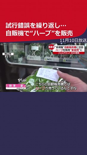 11月10日のニュース：最新の話題をキャッチ