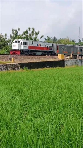 KA 235 Sancaka Utara Relasi : Surabaya PasarTuri - Cilacap #keretaapi #daop8 #kasancakautara #kai