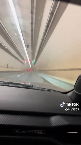 Blu on TikTok