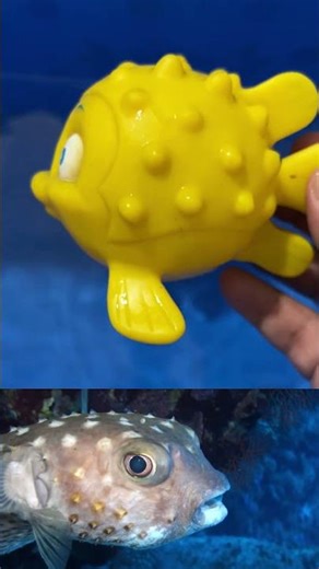 Ocean Animals for Kids | Learn Sea Animal Names with Toy Figures | Fun Toddler Learning Video