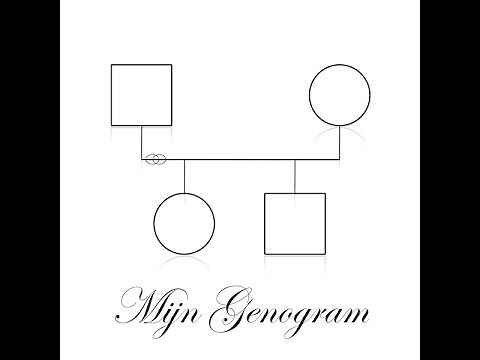 Teken je eigen genogram