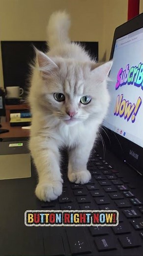 The Bible's Enigmatic Messages: Are You Missing the Clues? #BibleMysteries #hiddentruths