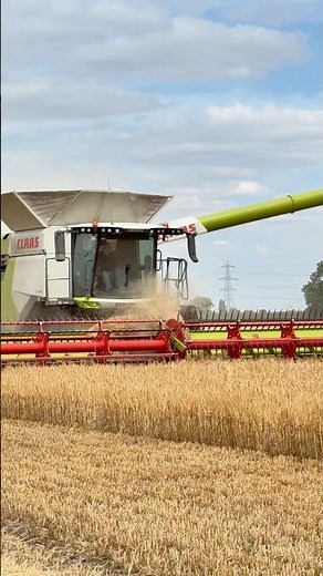 FIRST DAY OF WINTER BARLEY 2026 CLAAS 8800 Lexion Combine Harvester