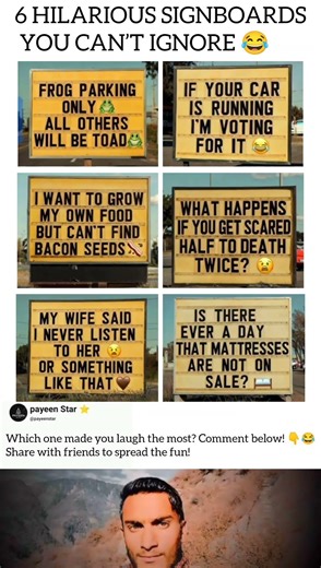 6 Hilarious Roadside Signs That Make You Stop 😱😂