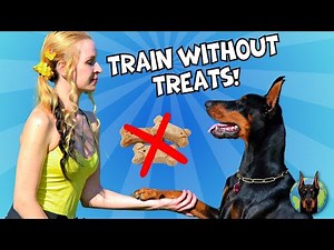 Getting a Doberman to Respond Every Time (Even Without Treats)