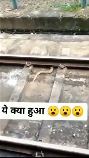 बेचारा Python || snack video #shorts #python #youtubeshorts #ytshorts #snack #snake #snackvideo