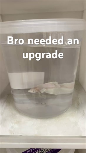 The ultimate transformation!!